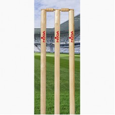 Nyda Cricket Stump Sticker