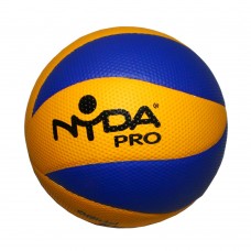 Nyda Pro Volleyball