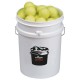 Bucket Coaching Tennis Balls (6doz Balls + 20 Ltr Bucket)